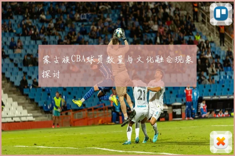 蒙古族CBA球员数量与文化融合现象探讨