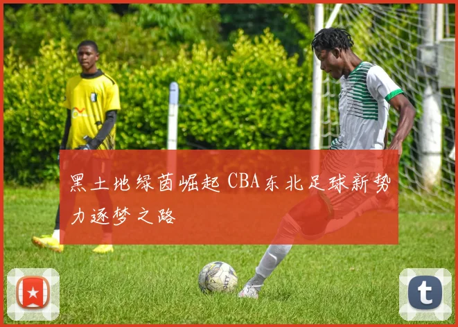 黑土地绿茵崛起 CBA东北足球新势力逐梦之路