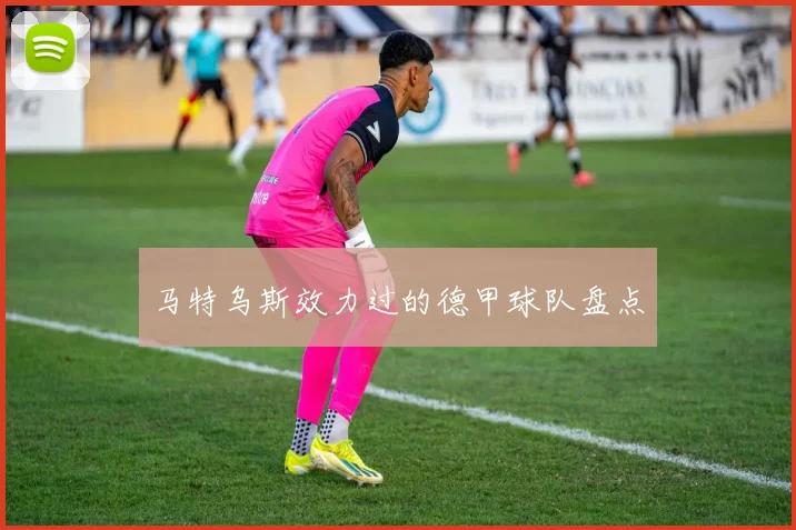 马特乌斯效力过的德甲球队盘点